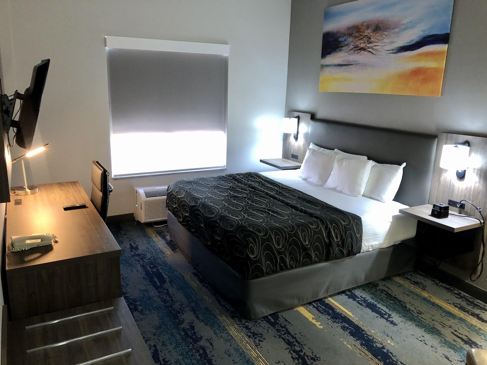 La Quinta By Wyndham Tampa Central Dış mekan fotoğraf